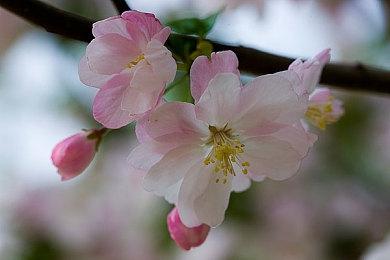 扎导《月球叛军》将改编成RPG游戏 史诗规模